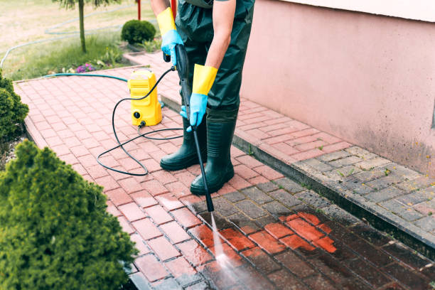 Best Gutter Cleaning  in Tecumseh, MI