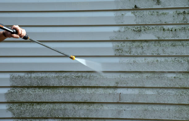 Best Driveway Pressure Washing  in Tecumseh, MI